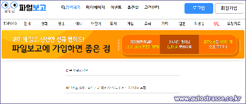 파일보고 홈페이지